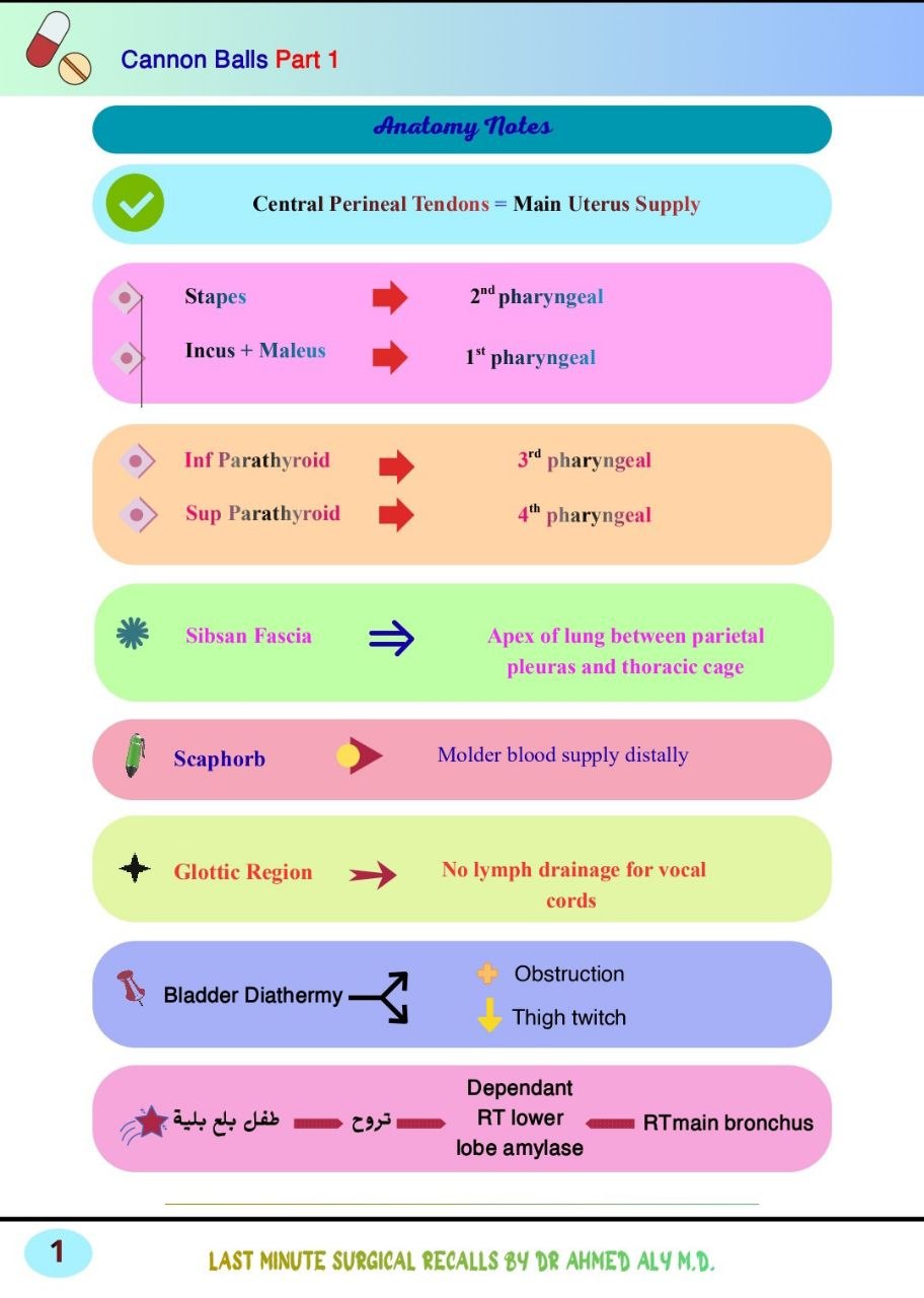 Book image 3