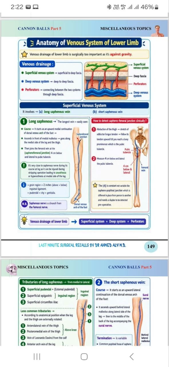 Book image 4