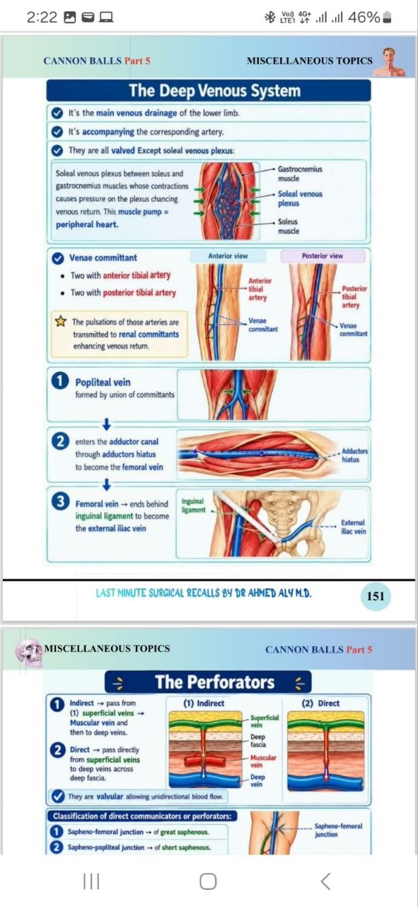 Book image 5